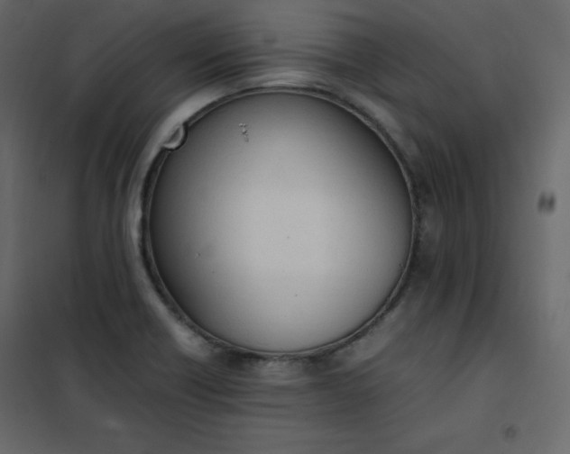 X0000102261418200808081350