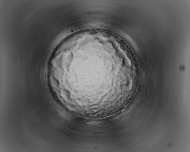 X0000102261419200808081350