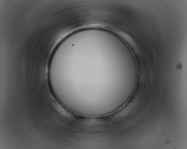 X0000102261420200808081350