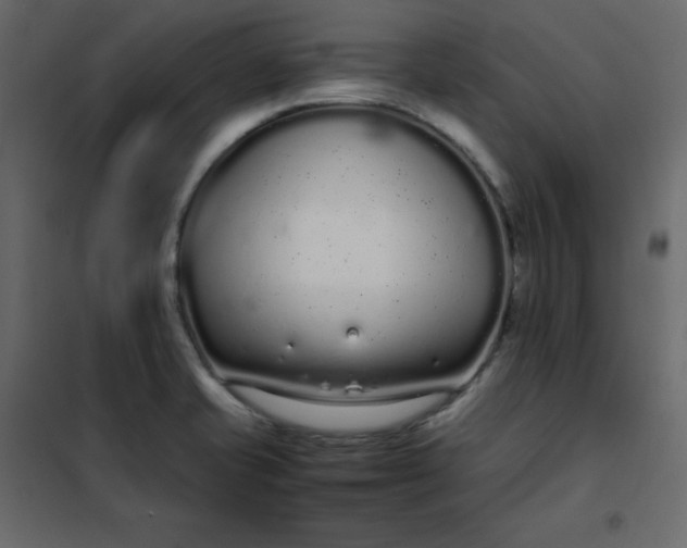 X0000102261421200808081350