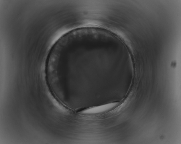 X0000102261422200808081350