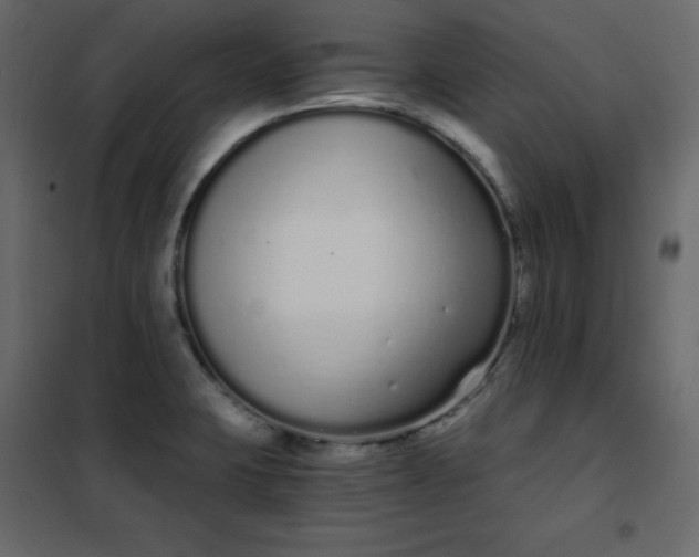 X0000102261423200808081350