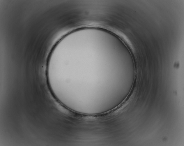 X0000102261424200808081350