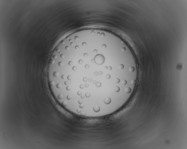 X0000102261425200808081350