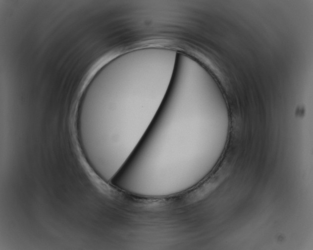 X0000102261426200808081350