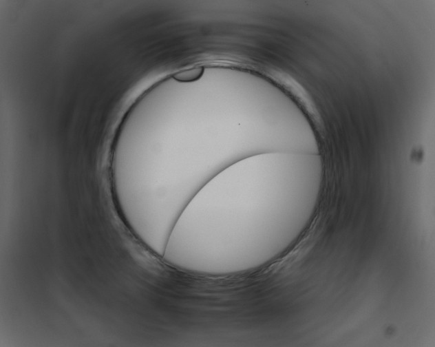 X0000102261427200808081350