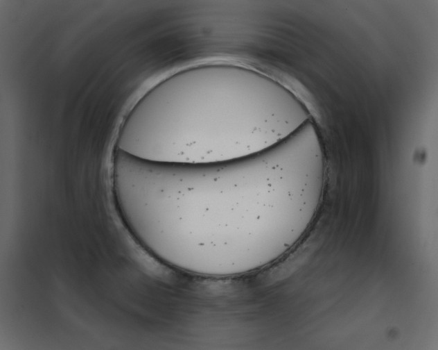 X0000102261428200808081350