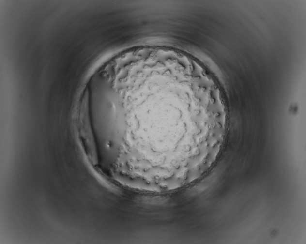 X0000102261429200808081350