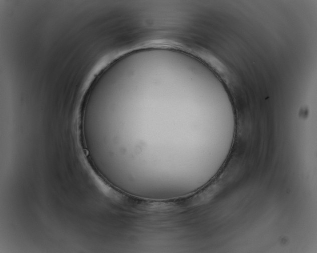 X0000102261430200808081350