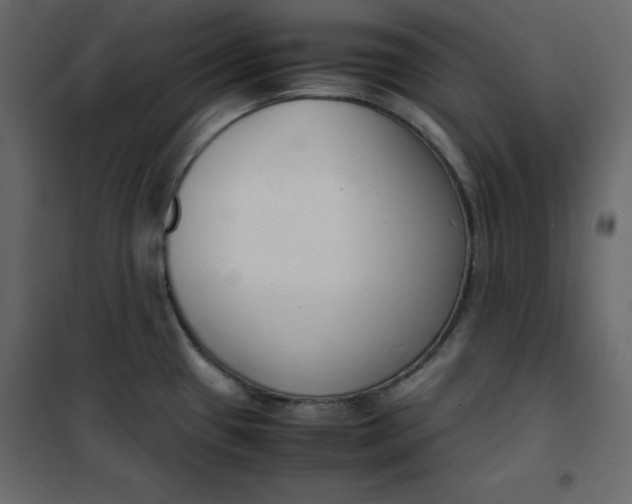 X0000102261433200808081350