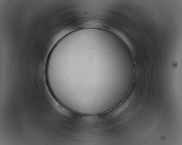 X0000102261434200808081350