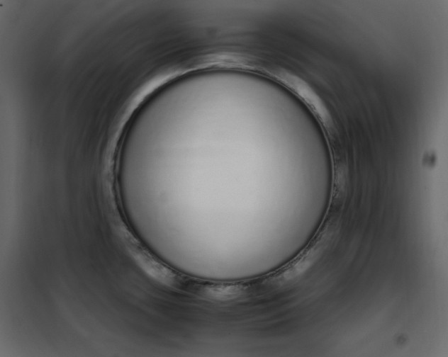 X0000102261435200808081350