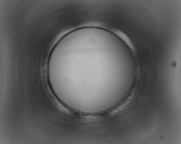 X0000102261436200808081350