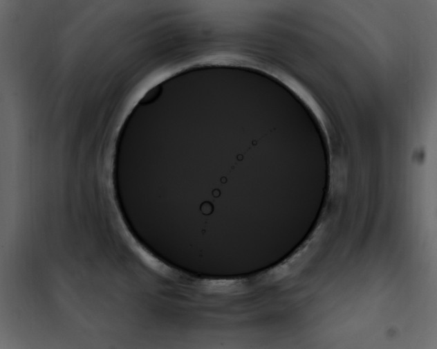 X0000102261437200808081350