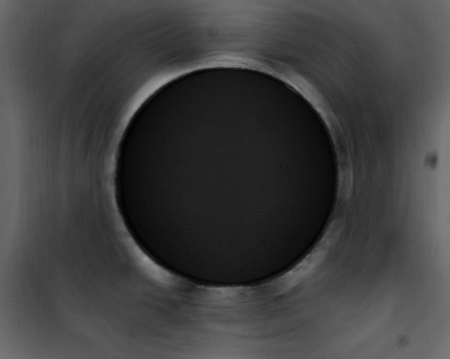 X0000102261438200808081350