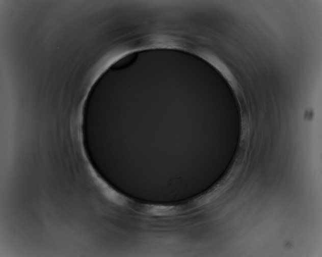 X0000102261439200808081350