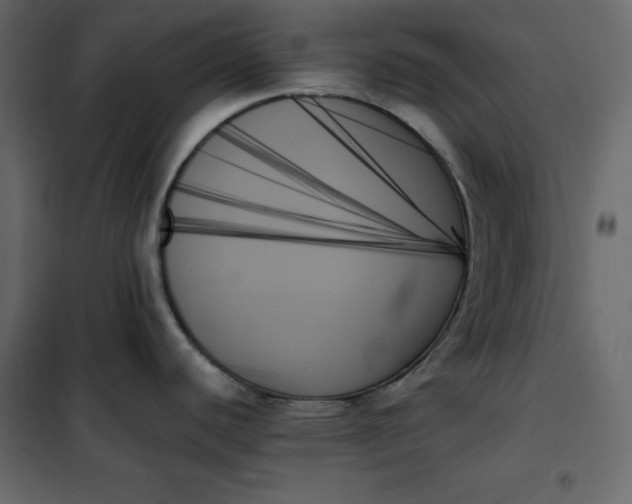 X0000102261440200808081350