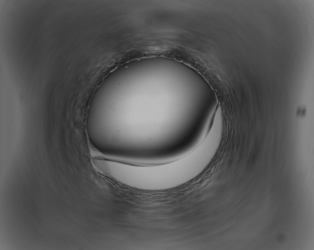 X0000102261441200808081350