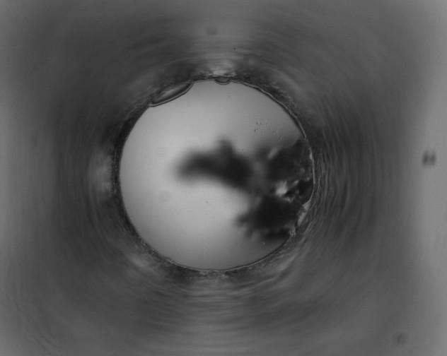 X0000102261442200808081350