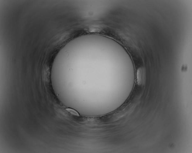 X0000102261443200808081350