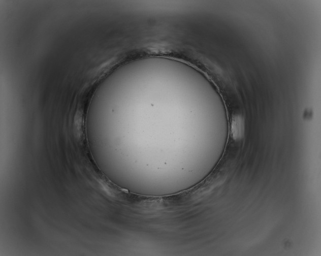 X0000102261444200808081350