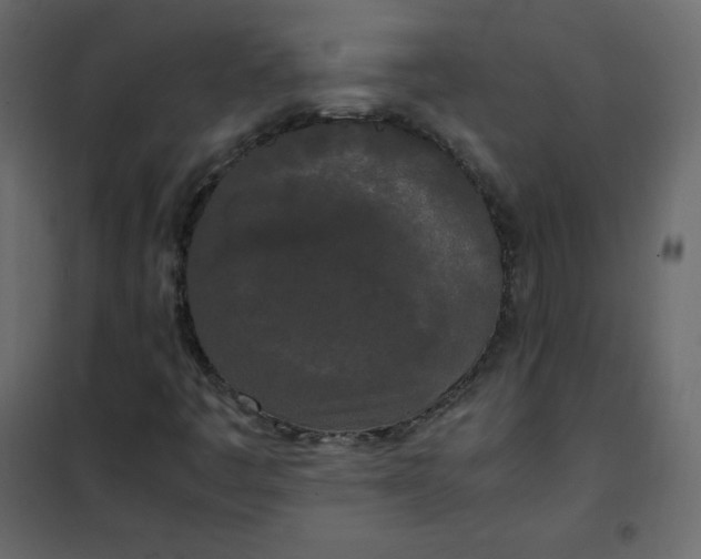 X0000102261445200808081350