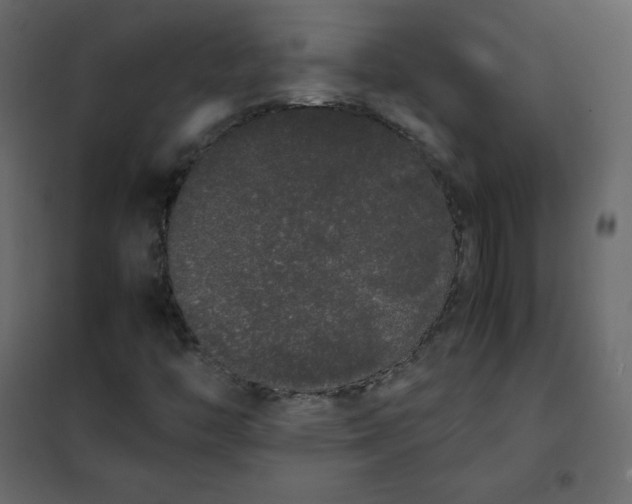 X0000102261446200808081350