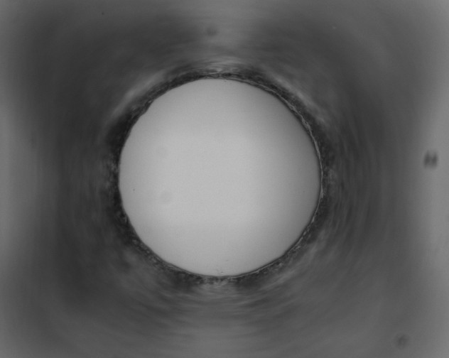 X0000102261447200808081350