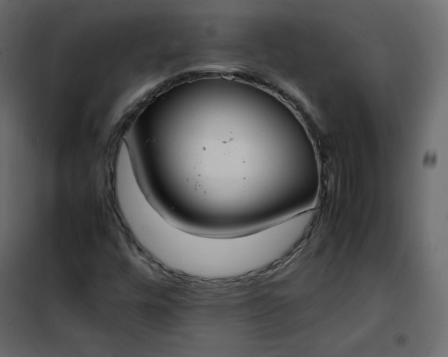 X0000102261448200808081350