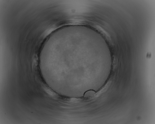 X0000102261449200808081350