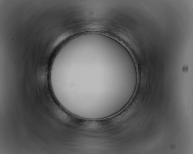 X0000102261450200808081350