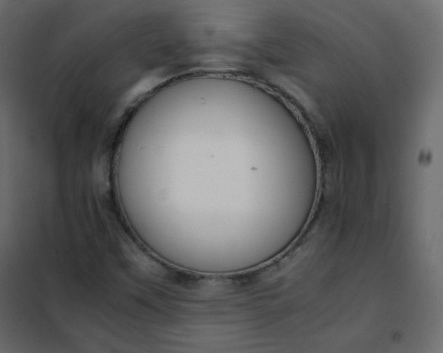 X0000102261451200808081350