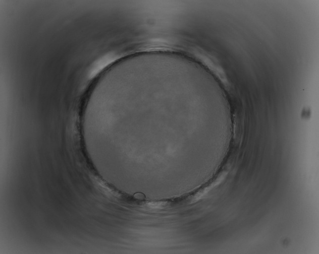 X0000102261453200808081350