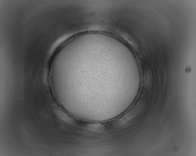 X0000102261454200808081350