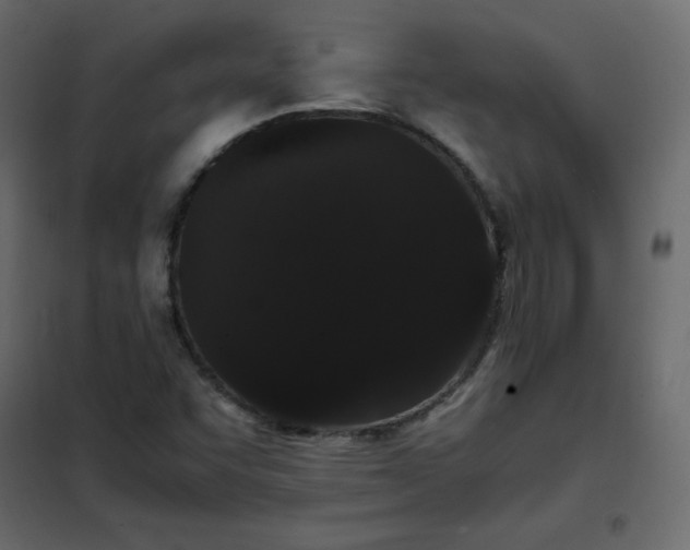 X0000102261455200808081350