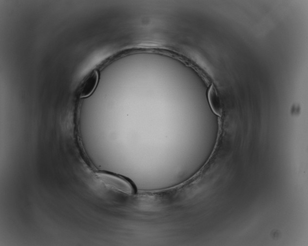 X0000102261456200808081349