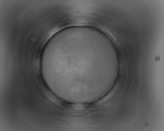 X0000102261457200808081349