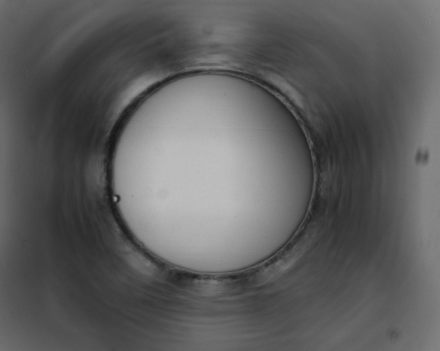 X0000102261458200808081349