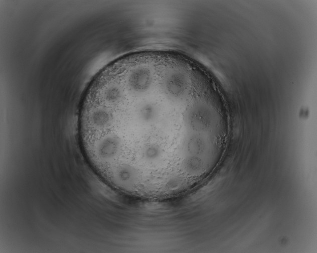 X0000102261459200808081349