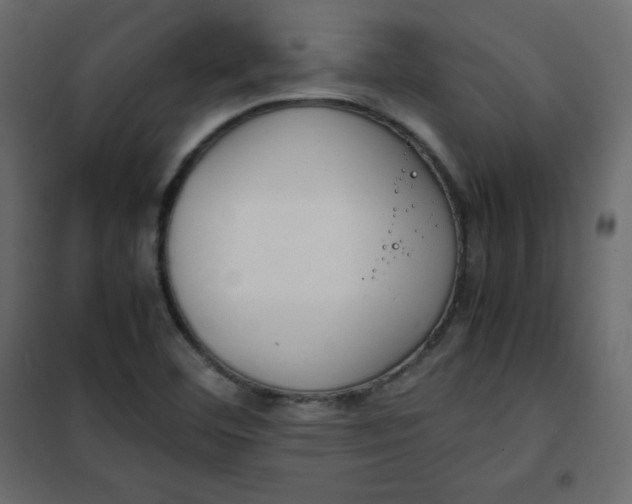 X0000102261460200808081349