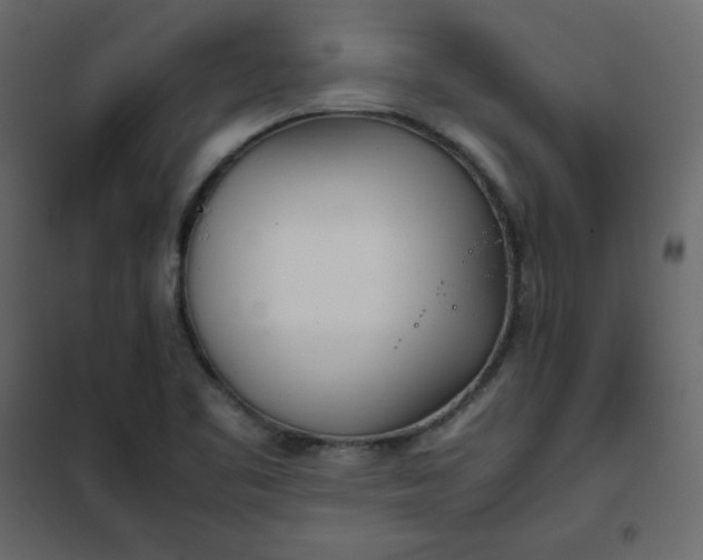 X0000102261461200808081349