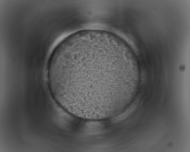 X0000102261462200808081349