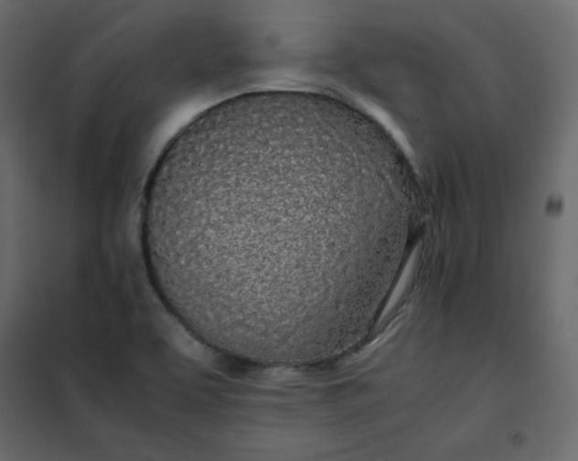 X0000102261463200808081349