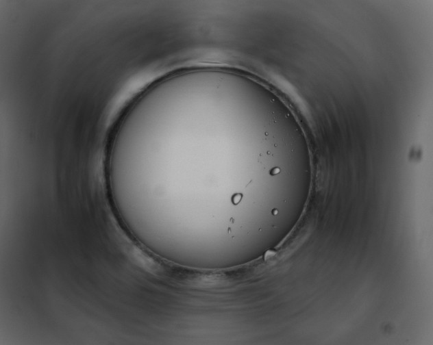 X0000102261464200808081349