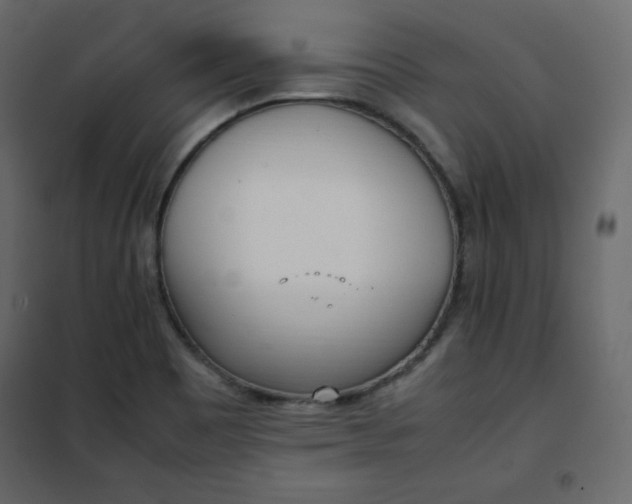 X0000102261465200808081349