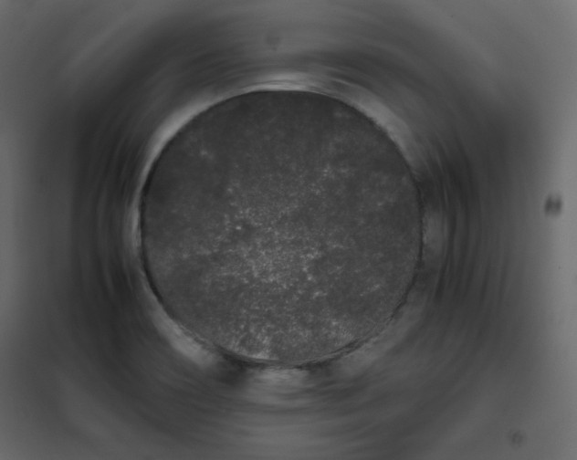 X0000102261466200808081349