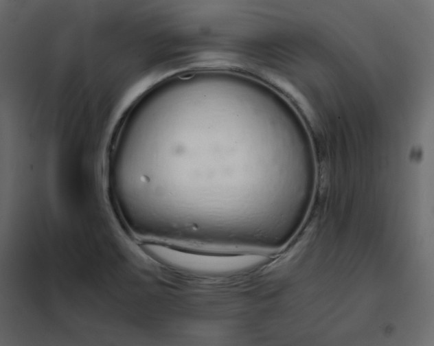 X0000102261467200808081349