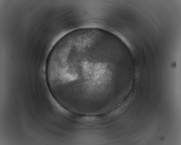 X0000102261468200808081349