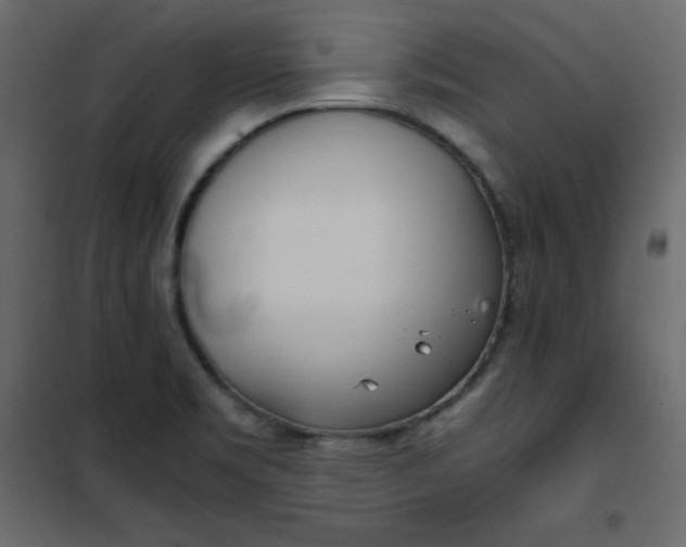 X0000102261469200808081349