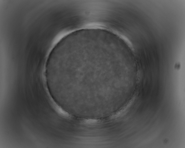 X0000102261470200808081349